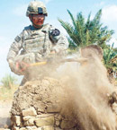 ������� ������ ���� ���� ���� ��� ������