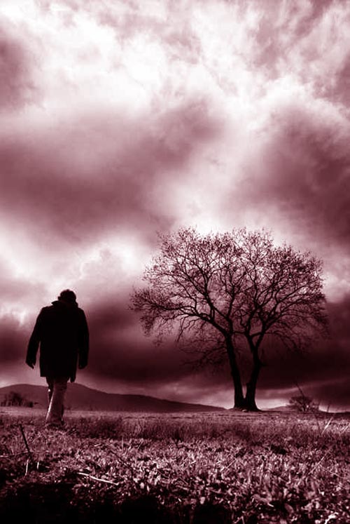 ������� ������ ���� ���� ���� ��� ������