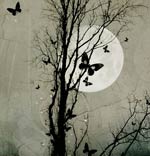 ������� ������ ���� ���� ���� ��� ������