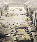 ������� ������ ���� ���� ���� ��� ������