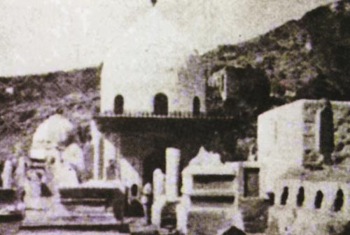 ������� ������ ���� ���� ���� ��� ������