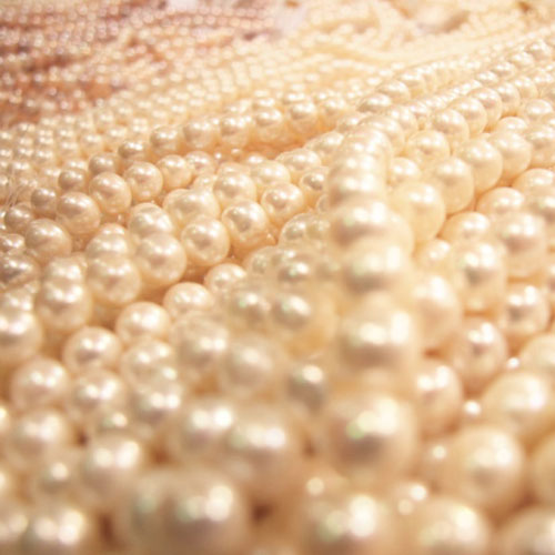 ������� ������ ���� ���� ���� ��� ������