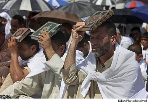 ������� ������ ���� ���� ���� ��� ������