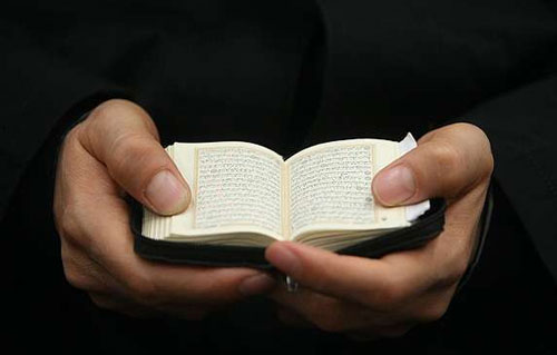 ������� ������ ���� ���� ���� ��� ������