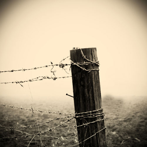 ������� ������ ���� ���� ���� ��� ������