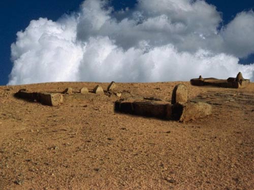 ������� ������ ���� ���� ���� ��� ������